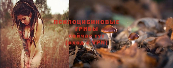 mdpv Ростов