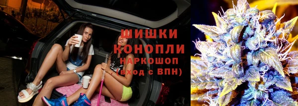 дмт Россошь