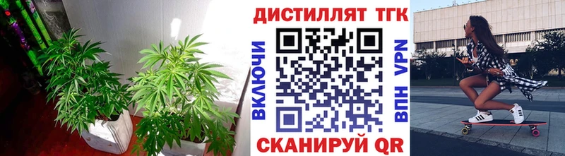 магазин продажи   Якутск  ТГК THC oil 