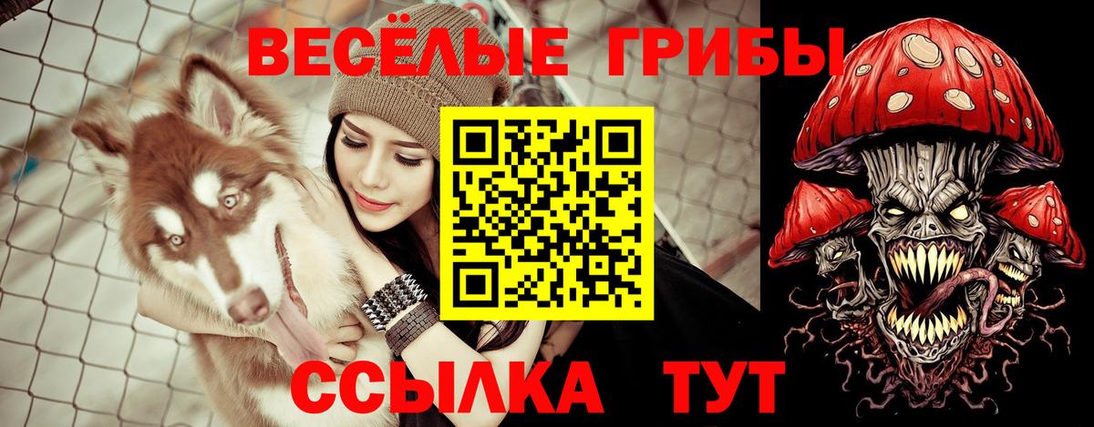 Псилоцибиновые грибы GOLDEN TEACHER Якутск