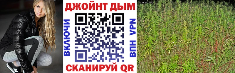 Бошки Шишки ГИДРОПОН Якутск